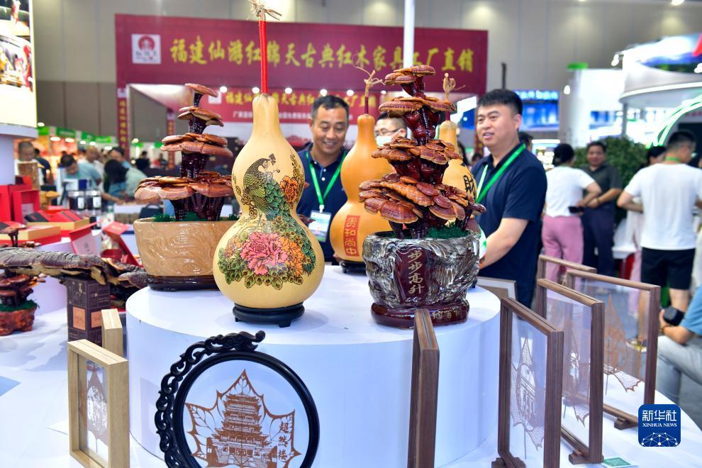 白菜担保论坛